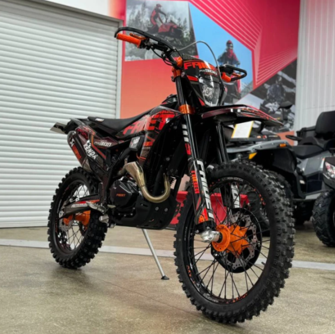 Кроссовый мотоцикл FAIDET PR300 MAX WP в Череповце
