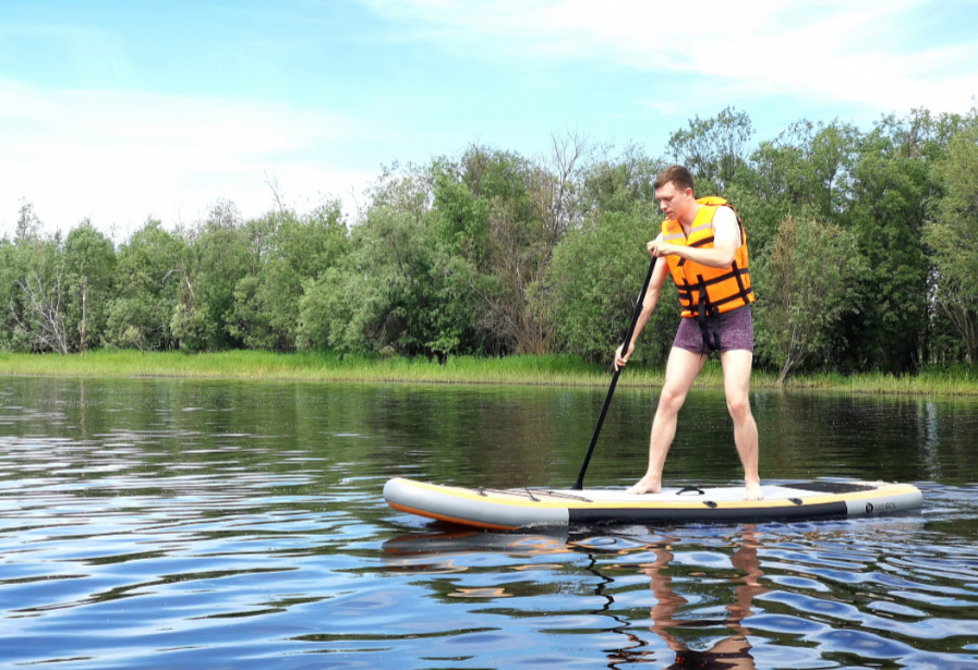 SUP (САП) Доска MISHIMO TURTLE 10(305) в Череповце