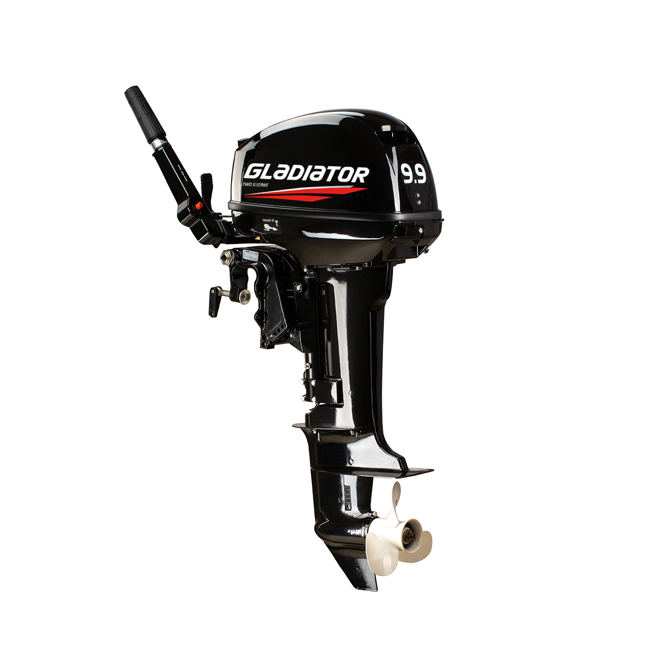 ЛОДОЧНЫЙ МОТОР GLADIATOR G9.9FHS в Череповце