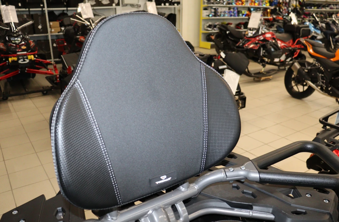 Квадроцикл PROMAX RENEGADE 300 LONG WINCH PRO (2025) в Череповце