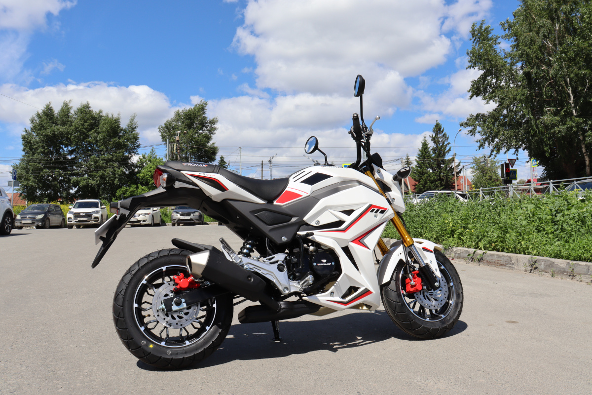 Мотоцикл PROMAX STRYKER 200(49) 2.0 в Череповце