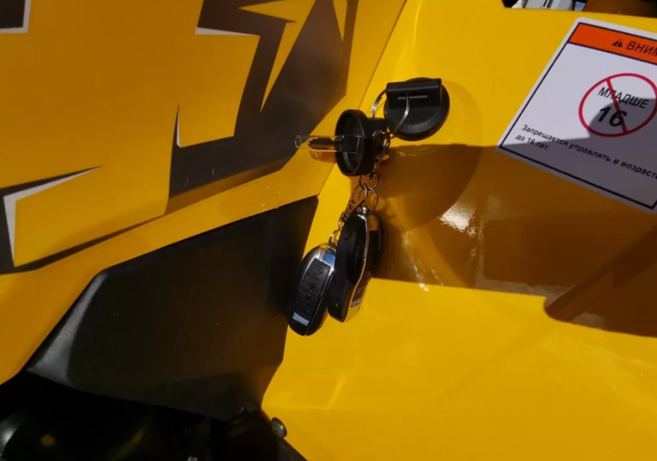 Квадроцикл MOTOLAND (МОТОЛЕНД) VOX200 WILD TRACK X PRO (баланс. вал) в Череповце