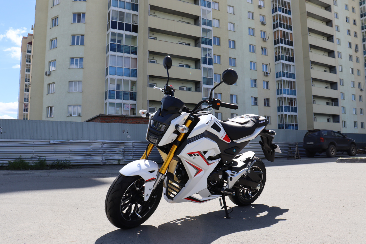 Мотоцикл PROMAX STRYKER 200(49) 2.0 в Череповце