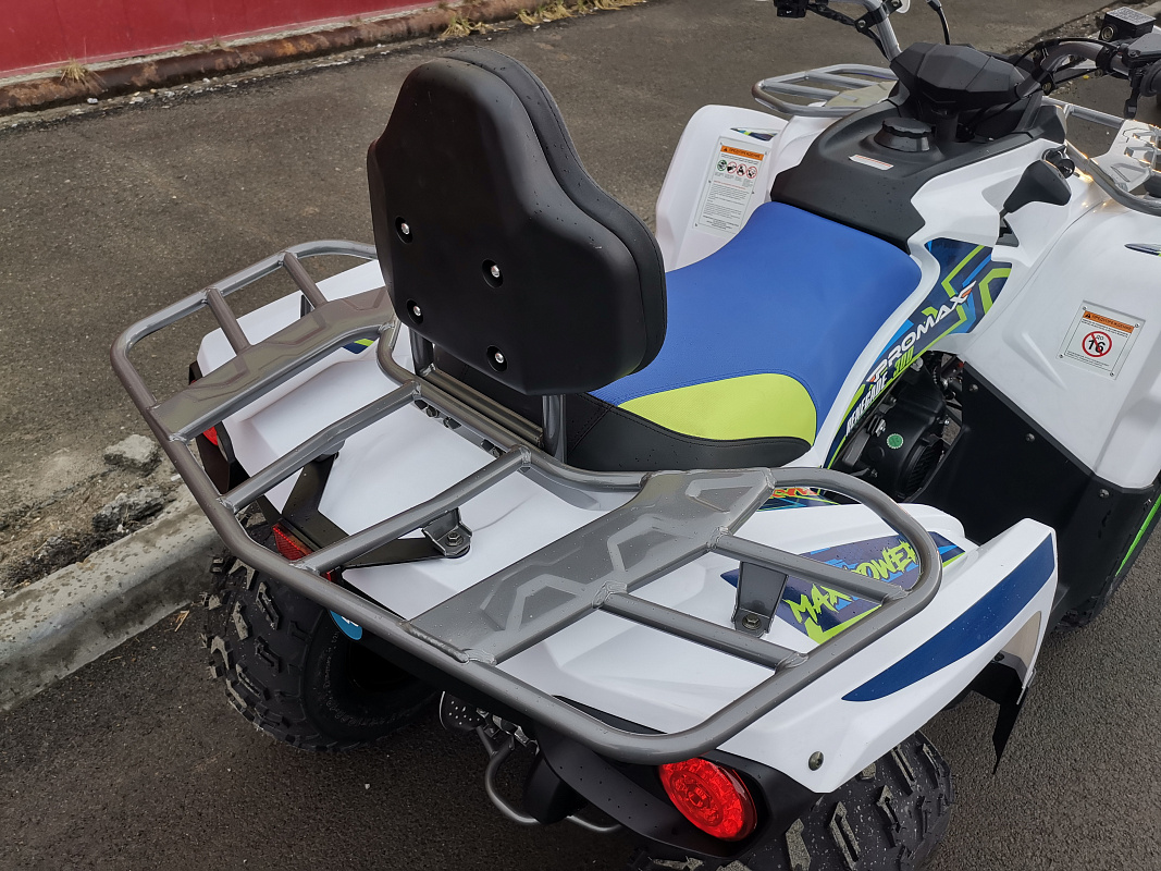 Квадроцикл PROMAX RENEGADE 280 LUX (2025) в Череповце