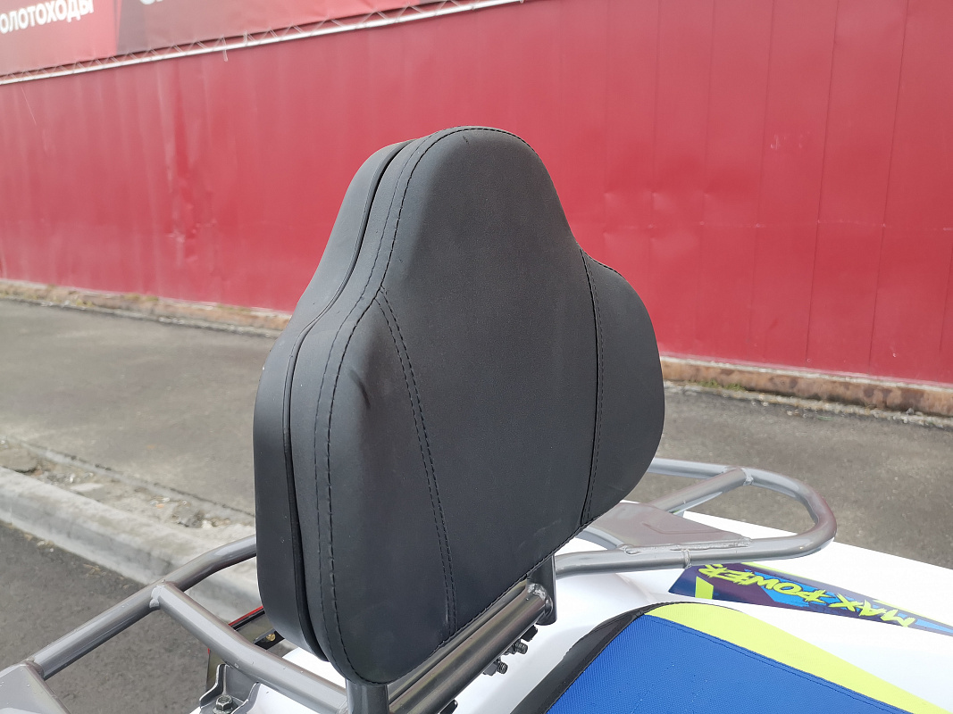 Квадроцикл PROMAX RENEGADE 280 LUX (2025) в Череповце