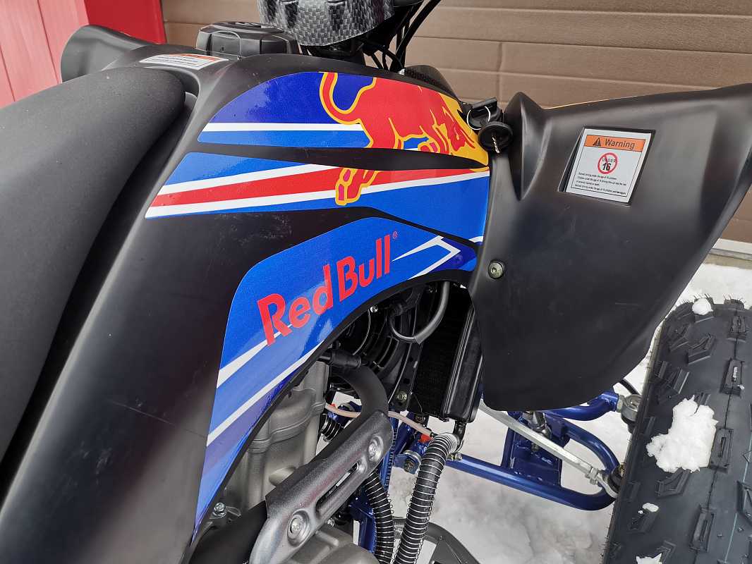 Квадроцикл PROMAX RAPTOR 300 NEW RedBull в Череповце