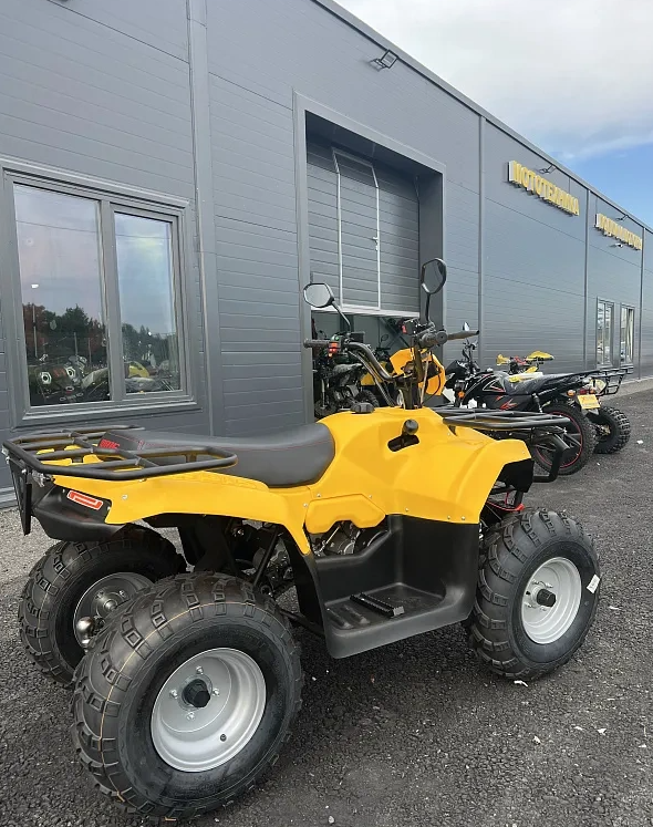 КВАДРОЦИКЛ IRBIS ATV 250  в Череповце