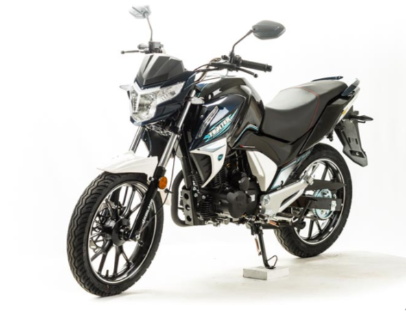 Мотоцикл MOTOLAND (МОТОЛЕНД) FIGHTER 250 в Череповце