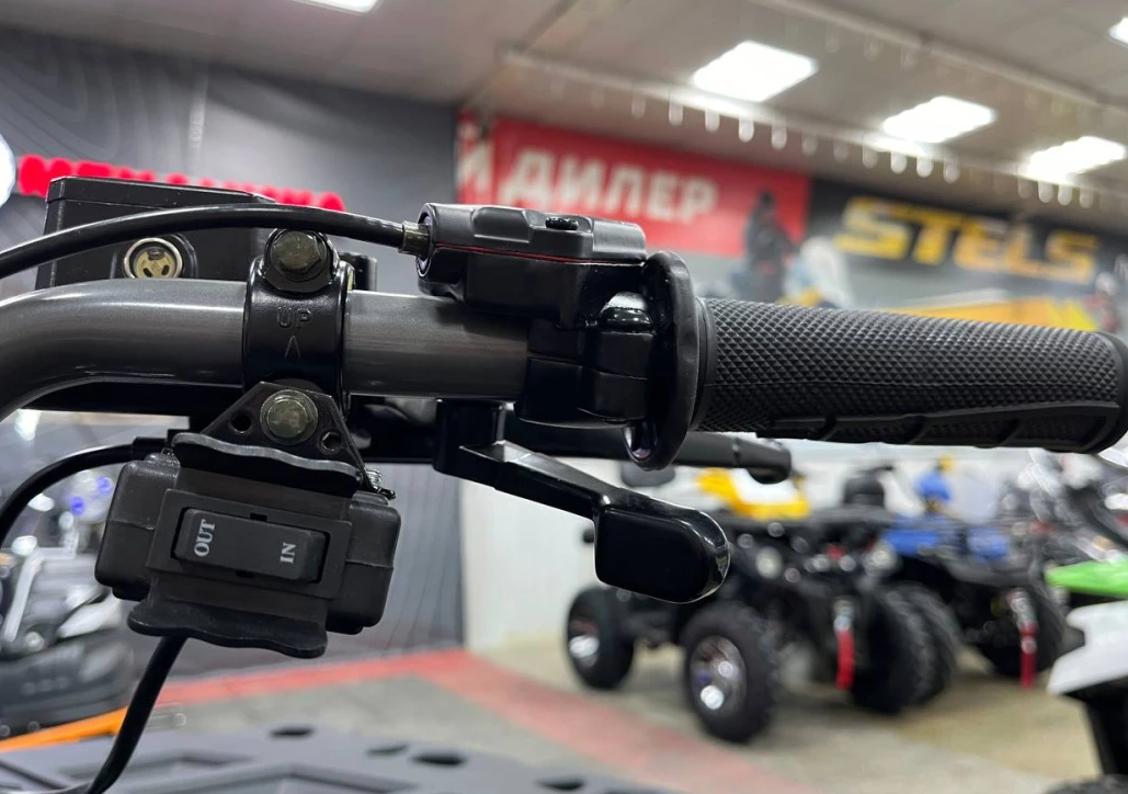 Квадроцикл PROMAX RENEGADE 300 LONG WINCH PRO (2025) в Череповце