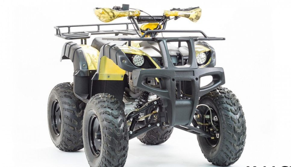 Квадроцикл MOTOLAND (МОТОЛЕНД) 250 ADVENTURE в Череповце