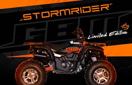 Квадроцикл GBM STORMRIDER 320 NEW LUX в Череповце