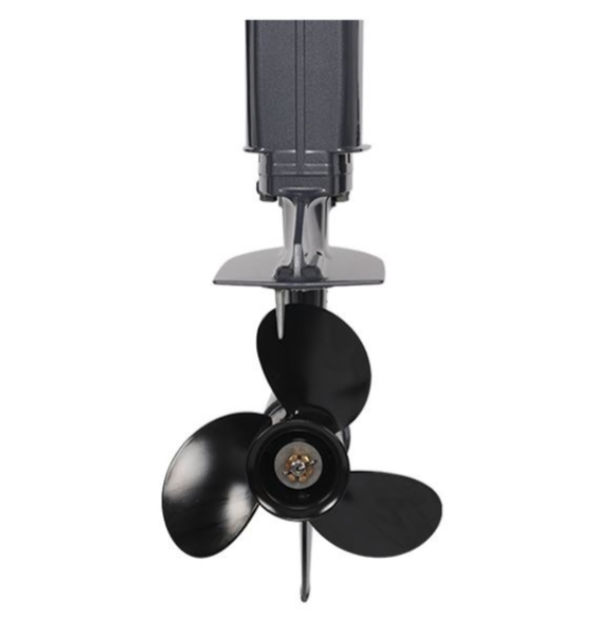 Лодочный мотор ALLFA CG Т40FW S в Череповце