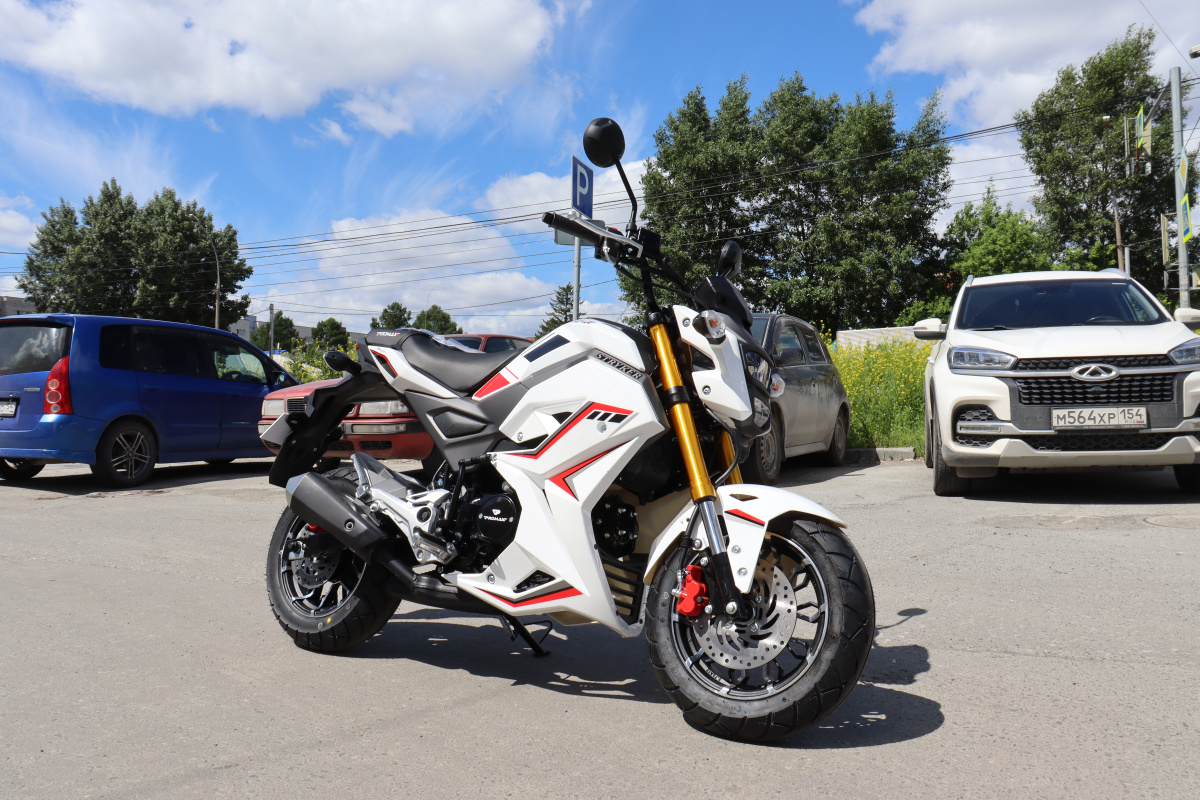 Мотоцикл PROMAX STRYKER 200(49) 2.0 в Череповце