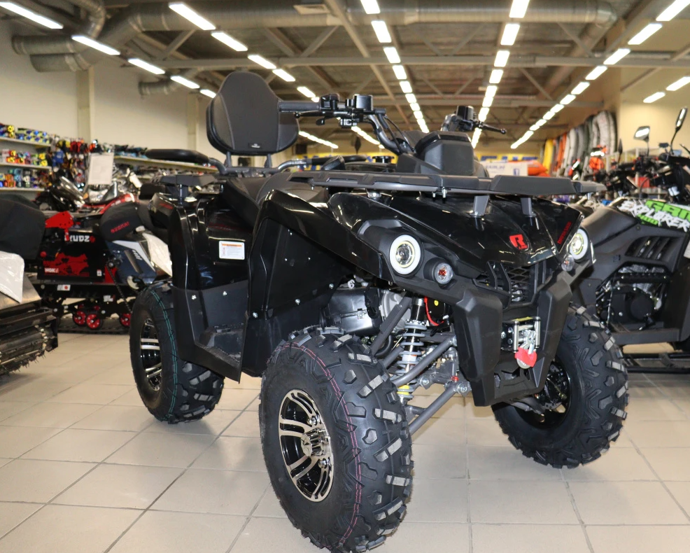 Квадроцикл PROMAX RENEGADE 300 LONG WINCH PRO (2025) в Череповце
