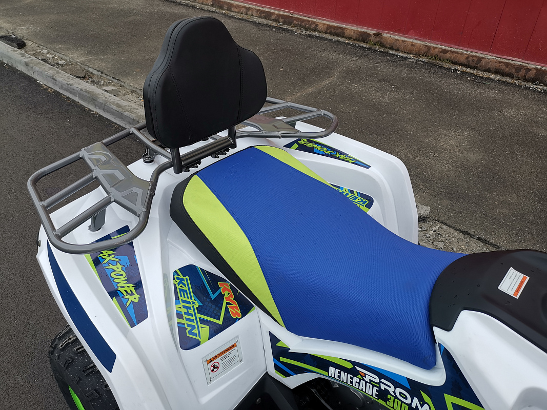 Квадроцикл PROMAX RENEGADE 280 LUX (2025) в Череповце