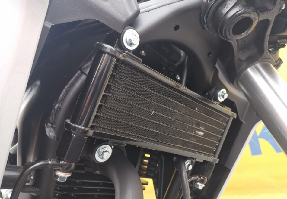 Мотоцикл MOTOLAND (МОТОЛЕНД) 250 CB250 (172FMM-5/PR250) (2022 г.) в Череповце