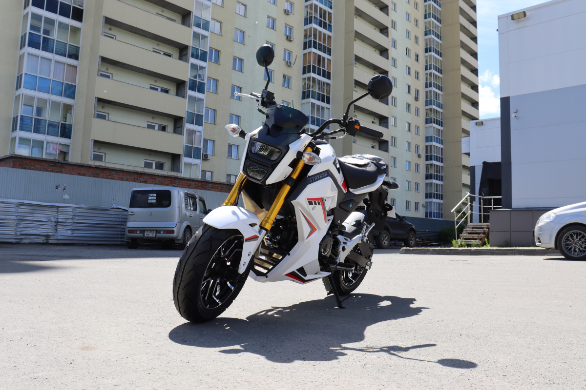 Мотоцикл PROMAX STRYKER 200(49) 2.0 в Череповце