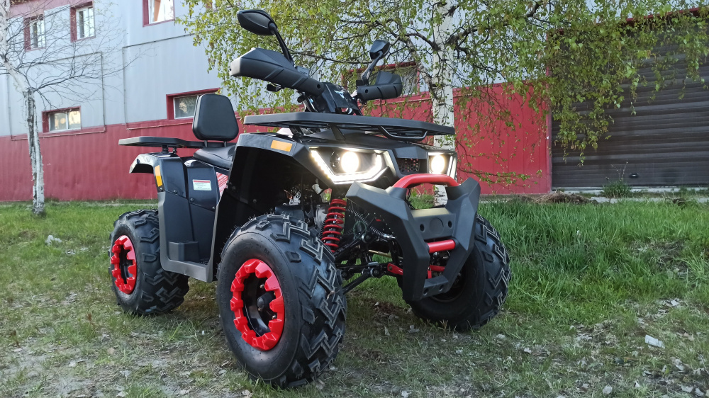 Квадроцикл PROMAX WILD 300 LUX (2024) в Череповце
