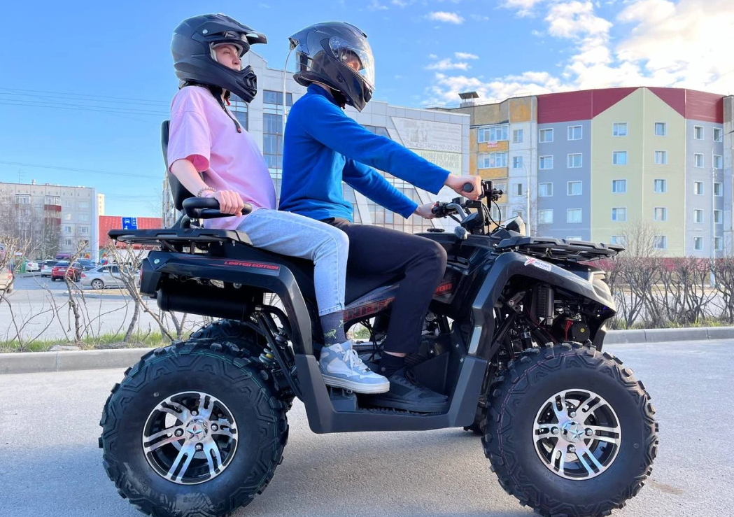 Квадроцикл PROMAX RENEGADE 300 LONG WINCH PRO (2025) в Череповце