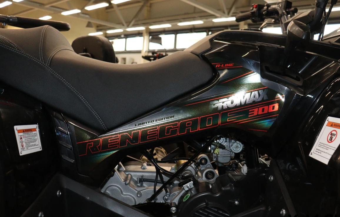 Квадроцикл PROMAX RENEGADE 300 LONG WINCH PRO (2025) в Череповце