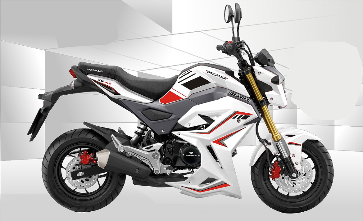 Мотоцикл PROMAX STRYKER 200(49) 2.0 в Череповце