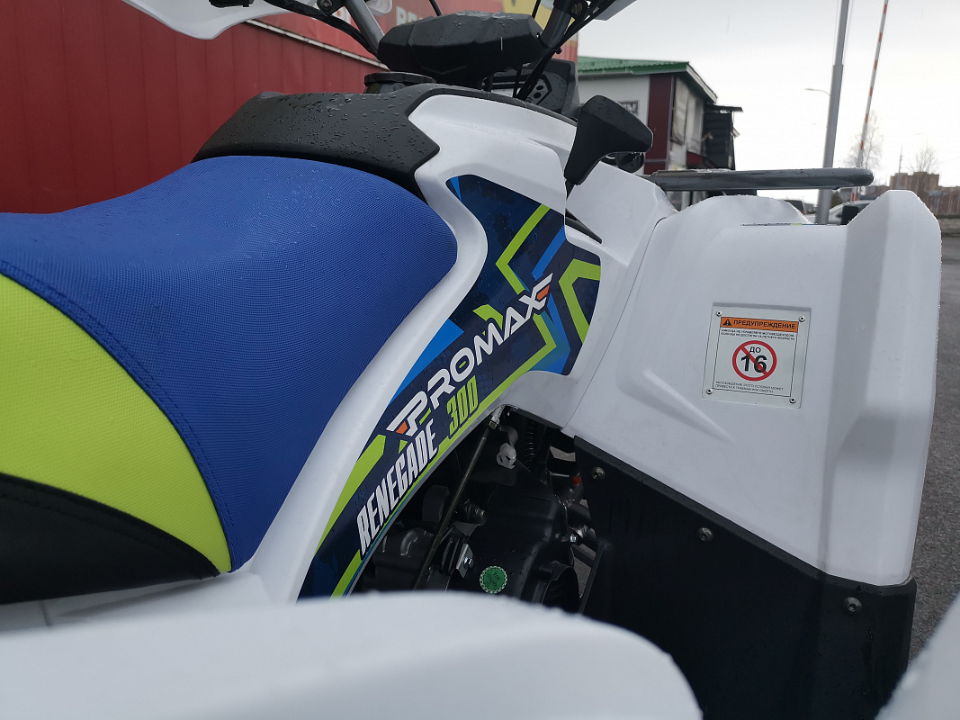 Квадроцикл PROMAX RENEGADE 280 LUX (2025) в Череповце