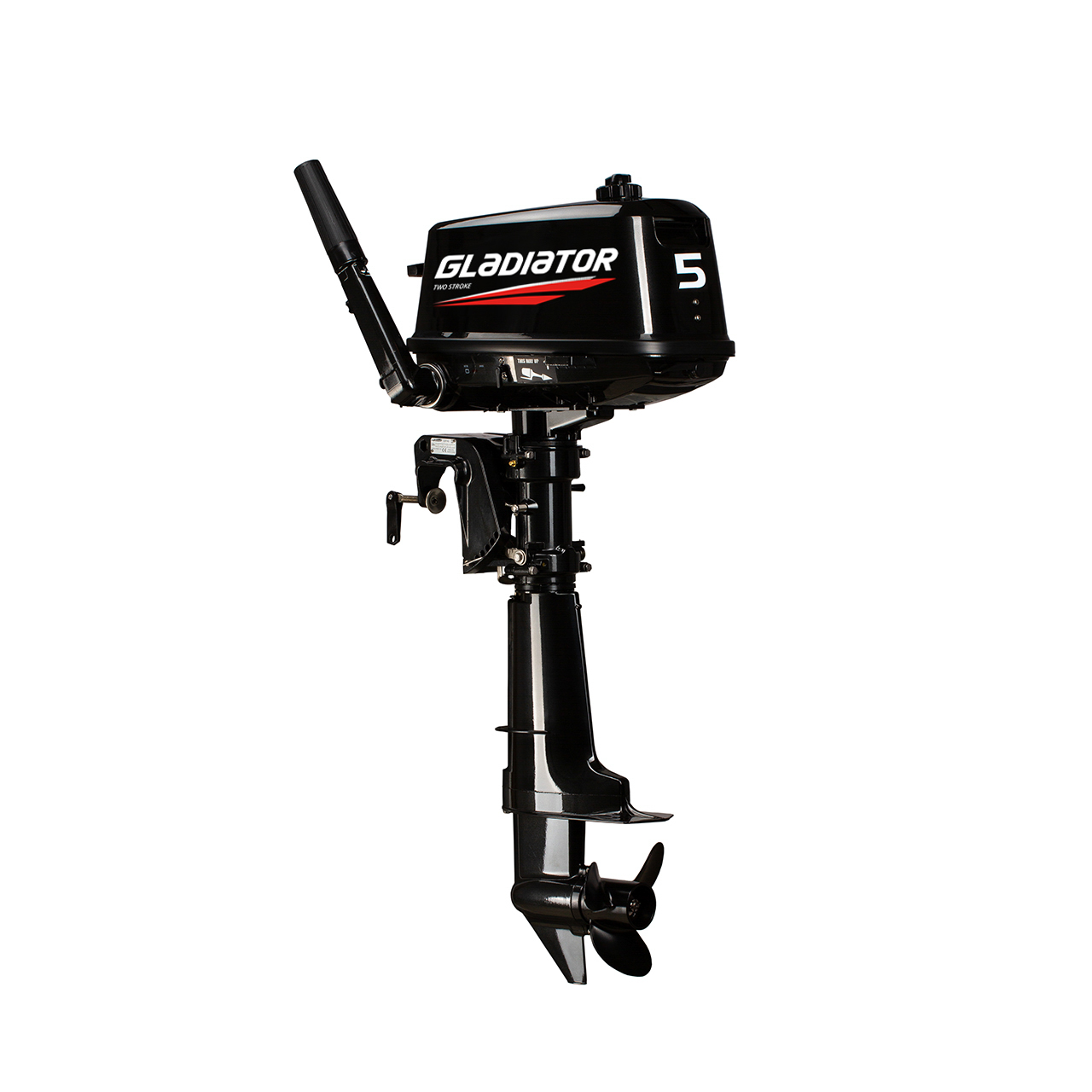 ЛОДОЧНЫЙ МОТОР GLADIATOR G5FHS в Череповце