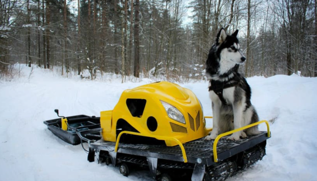 Мотобуксировщик LEBEDEV MOTORS ВОЛКОДАВ POWER V13 в Череповце