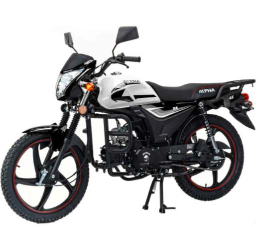 Мопед MOTOLAND (МОТОЛЕНД) Альфа RS 11 (LM48-B) в Череповце