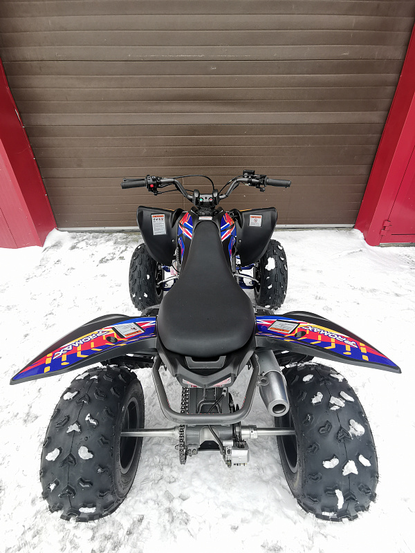 Квадроцикл PROMAX RAPTOR 300 NEW RedBull в Череповце