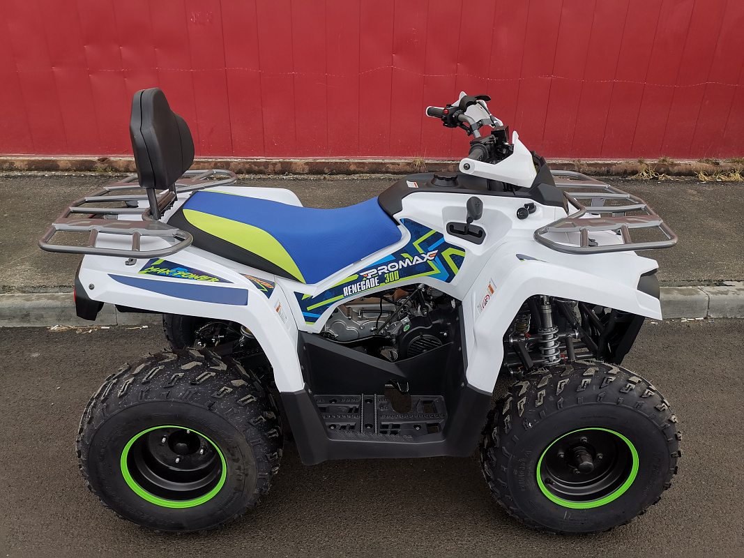 Квадроцикл PROMAX RENEGADE 280 LUX (2025) в Череповце