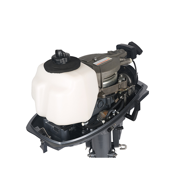 ЛОДОЧНЫЙ МОТОР ALLFA CG T5 в Череповце