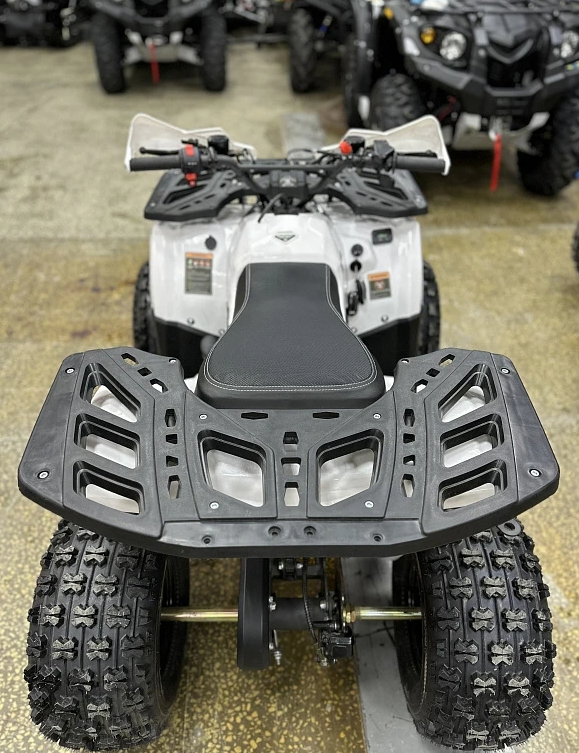 Квадроцикл PROMAX WILD 2.0 190 в Череповце