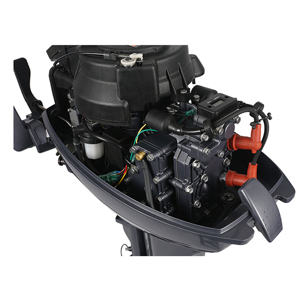 ЛОДОЧНЫЙ МОТОР ALLFA CG Т9,9 Limit в Череповце