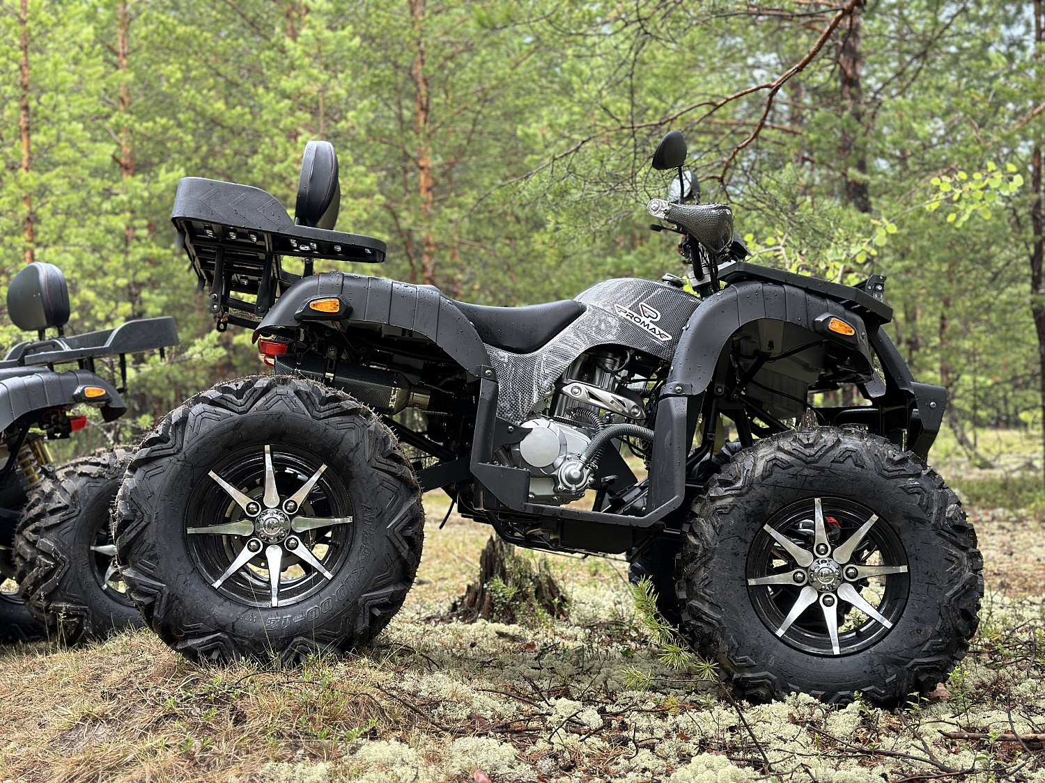 Квадроцикл PROMAX 320 DOMINATOR (2025) в Череповце