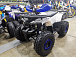 Квадроцикл PROMAX WILD 175 LUX в Череповце
