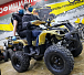 Квадроцикл PROMAX ATV 250 (2025) в Череповце