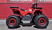 Квадроцикл PROMAX WILD 175 BASIC в Череповце