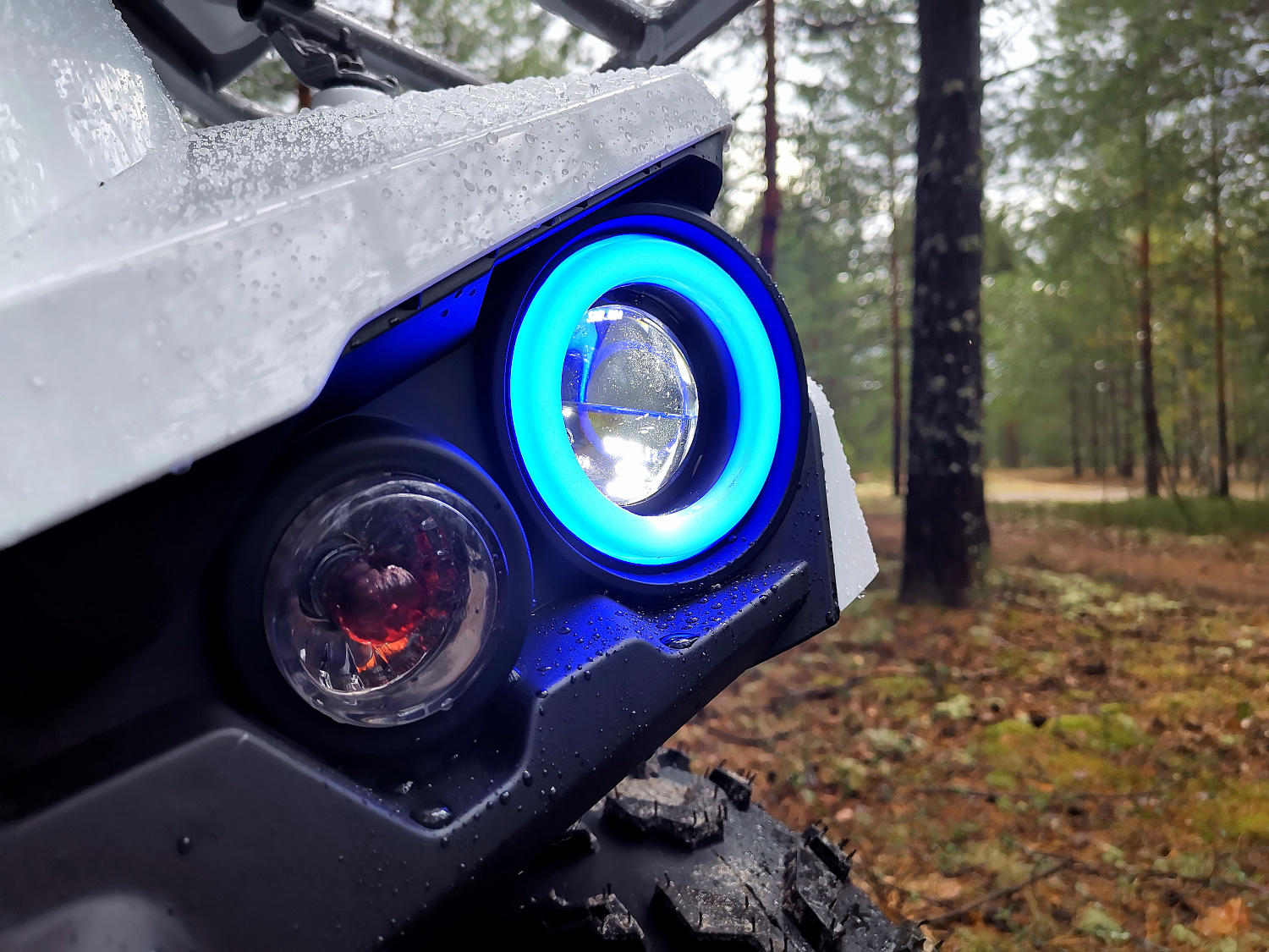 Квадроцикл PROMAX RENEGADE 280 (2025) в Череповце