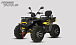Квадроцикл PROMAX TAURUS 300 MAX-PRO LONG в Череповце
